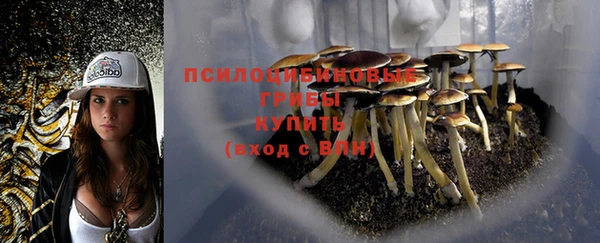 дживик Аркадак