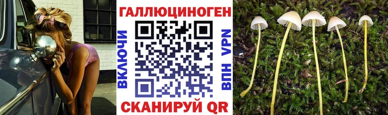 даркнет сайт Азнакаево Галлюциногенные грибы MAGIC MUSHROOMS